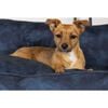 Scruffs & Tramps Dog Bed Kensington Size M 60x50 cm Navy