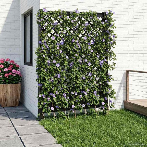 Showing Product Image 2 of 7