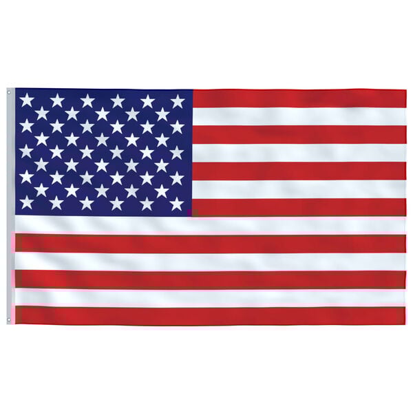 vidaXL US Flag and Pole 5.55 m Aluminium