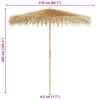 Product Thumbnail Image 12 of 12