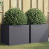 Product Thumbnail Image 2 of 11