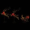 Product Thumbnail Image 4 of 10