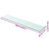 vidaXL Shelves 2 pcs Panel Glass Clear 100x20 cm