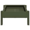 vidaXL Chicken Feeding Trough Olive Green 80 x 28 x 13.5 cm