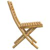 vidaXL Folding Garden Chairs 4 pcs 43x54x88 cm Bamboo