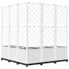 Product Thumbnail Image 4 of 8