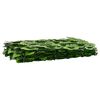Product Thumbnail Image 2 of 6