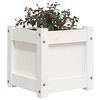 vidaXL Garden Planters 2 pcs White Solid Wood Pine