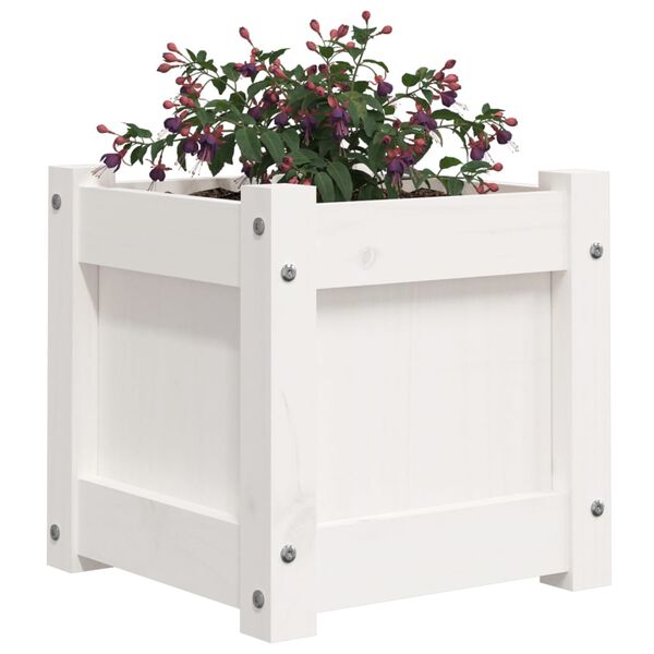 vidaXL Garden Planters 2 pcs White Solid Wood Pine