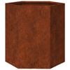 vidaXL Garden Planters 2 pcs Hexagon 46x40x45 cm Weathering Steel