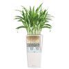 LECHUZA Planter Cubico Color 40 ALL-IN-ONE White 13150