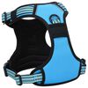 vidaXL Dog Harness with Lead & Collar Adjustable Blue S
