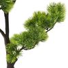 Product Thumbnail Image 5 of 7