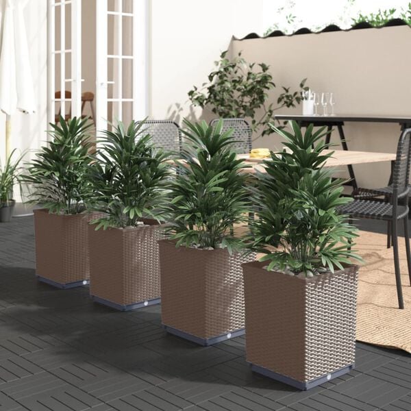 Showing Product Image 2 of 8