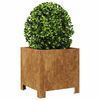 vidaXL Garden Planters 2 pcs 30x30x30 cm Weathering Steel