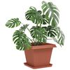 Product Thumbnail Image 3 of 10