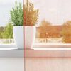 Product Thumbnail Image 3 of 9