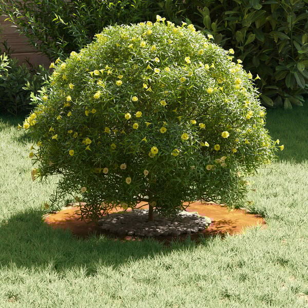 vidaXL suitable for Flat Tree Ring Brown Ø30 / 60 cm Weathering steel