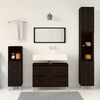 vidaXL Bathroom Furniture Set Wall-mounted with Door 3 pcs Black Oak