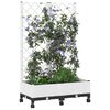 Product Thumbnail Image 3 of 8