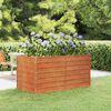 Product Thumbnail Image 2 of 8