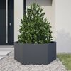 Product Thumbnail Image 2 of 8