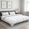 Product Thumbnail Image 2 of 11
