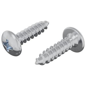 vidaXL Screw 2 pcs Silver M4 x 16 mm Steel