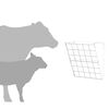 Product Thumbnail Image 10 of 13
