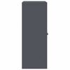 vidaXL Storage Cabinet Anthracite 80 x 40 x 105 cm Steel