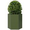 Product Thumbnail Image 3 of 10