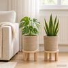 Product Thumbnail Image 2 of 6