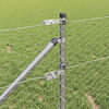 Product Thumbnail Image 3 of 14