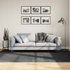 vidaXL Rug IZA Short Pile Scandinavian Look Anthracite 160x230 cm