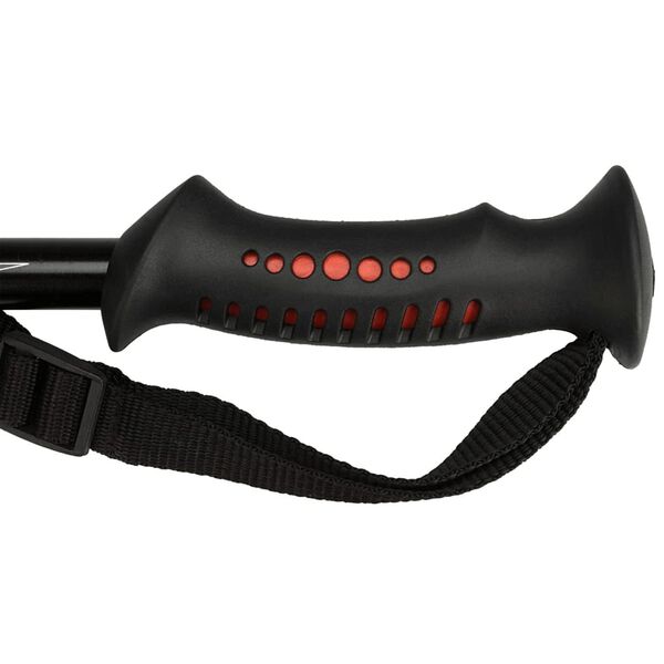 Abbey Hiking Canes 2 pcs Black Aluminium 21SV-ZRW-Uni