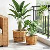 Product Thumbnail Image 3 of 9