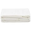vidaXL Tent Carpet 100x500 cm White