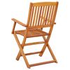 vidaXL Folding Garden Chairs 2 pcs Solid Eucalyptus Wood