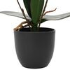 Product Thumbnail Image 3 of 5