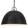 vidaXL Industrial Vintage Hanging Lamp 25 W Black Round 41 cm E27