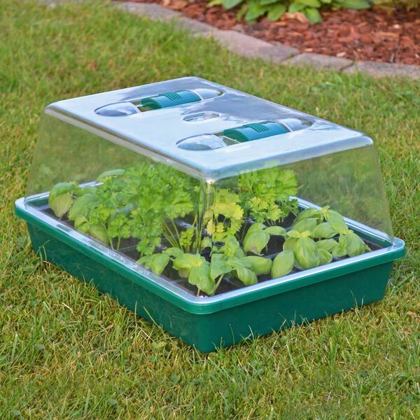 HI Mini Greenhouse 38x24.5x18 cm Transparent