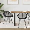 vidaXL Dining Chair 2 pcs Black 55 x 50 x 74 cm Rattan and Iron