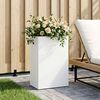 Product Thumbnail Image 2 of 7