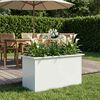 Product Thumbnail Image 2 of 13