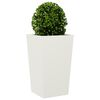 Product Thumbnail Image 4 of 12
