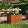 Product Thumbnail Image 2 of 10
