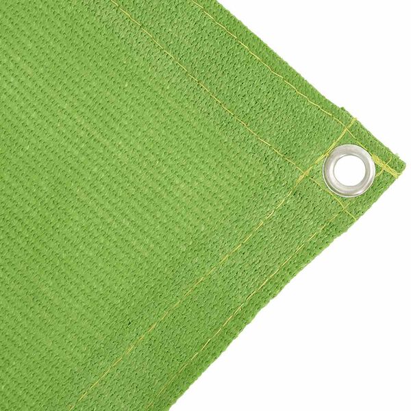 vidaXL Tent Carpet Light Green 250x200 cm HDPE