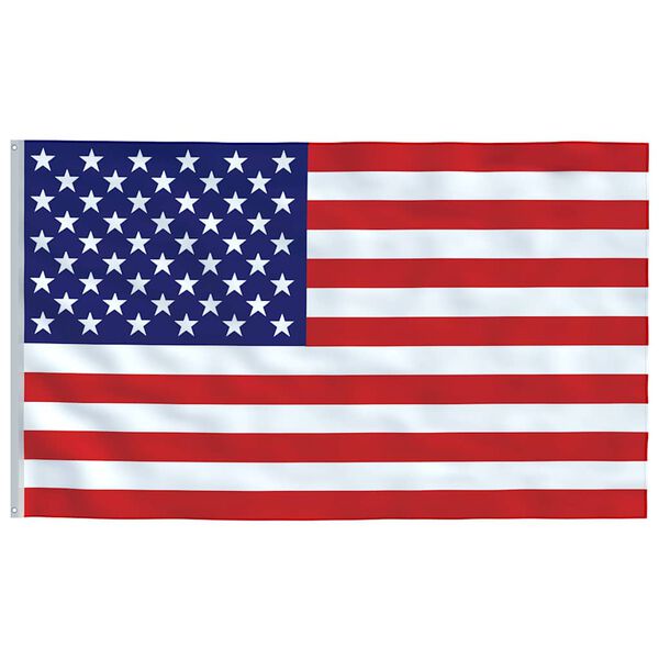 vidaXL US Flag and Pole 6.08 m Aluminium