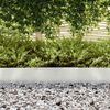 vidaXL Lawn Edging Silver 450 x 0.05 x 20 cm Stainless Steel