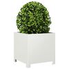 Product Thumbnail Image 8 of 10